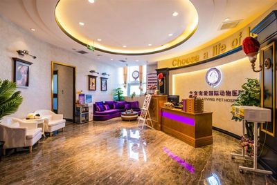 資本看好動(dòng)物醫(yī)療賽道 寵愛(ài)國(guó)際完成C輪數(shù)億元融資成為市場(chǎng)標(biāo)桿